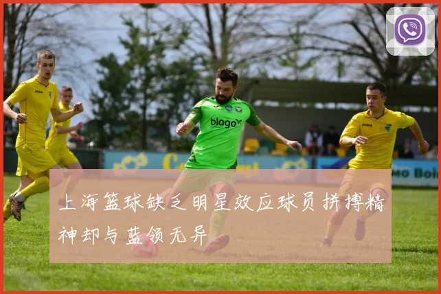 上海篮球缺乏明星效应球员拼搏精神却与蓝领无异